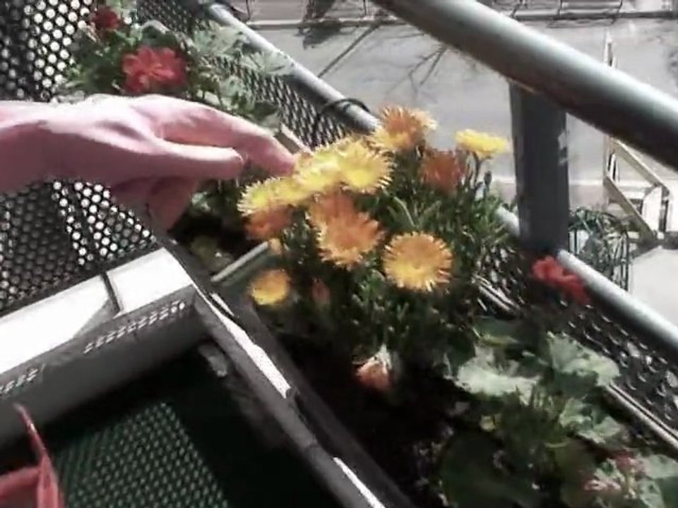 Anniversaire disparition de mon frère et fleurs paranormales