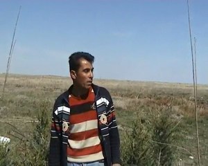 Eskil Ağaçlandırma Çalışmaları
