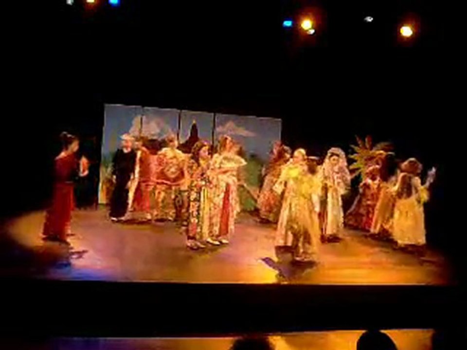 Le Roi Soleil partie 4 (les courtisanes et colbert)