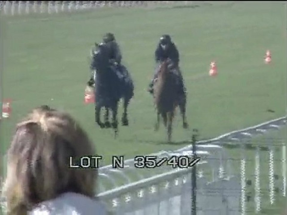 Lot 12