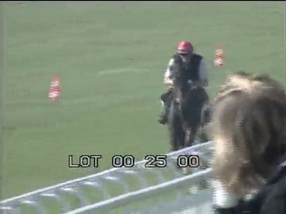 Lot 14