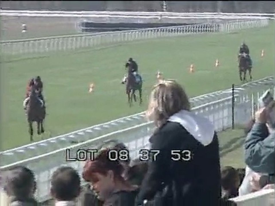 Lot 15