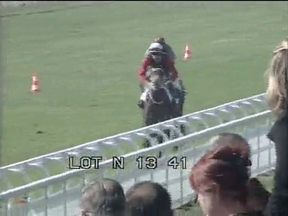 Lot 16