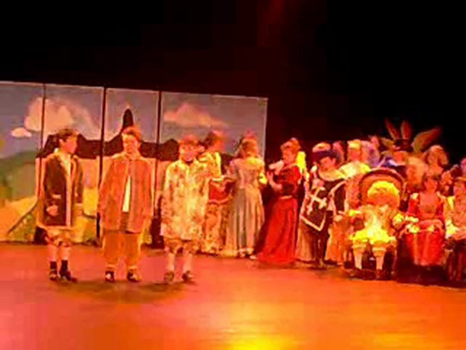 Le Roi Soleil (partie 5 Molière)