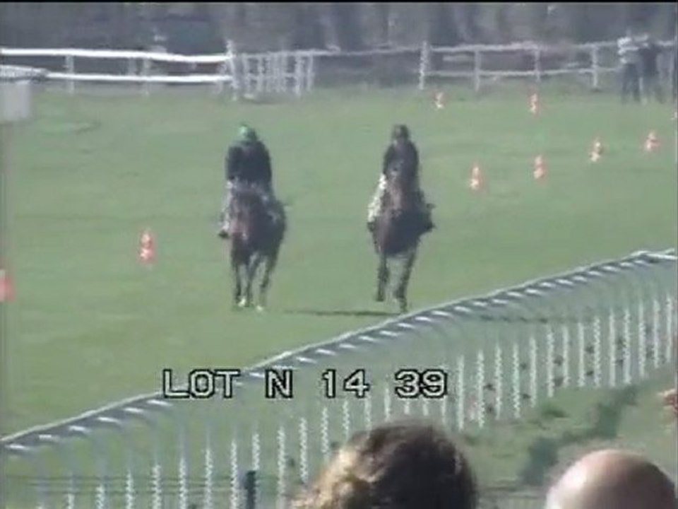 Lot 18