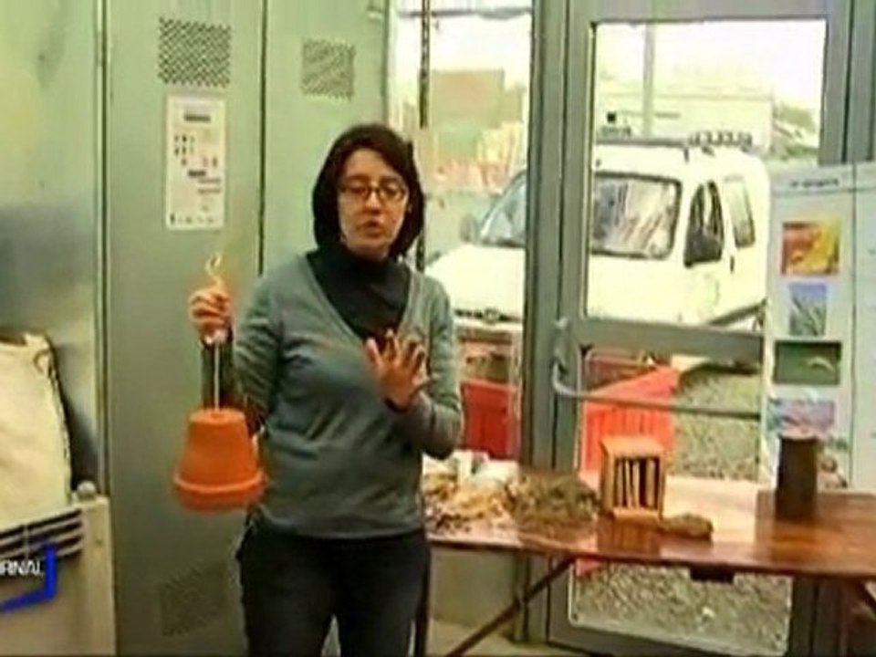 Développement durable : Les jardiniers en herbe