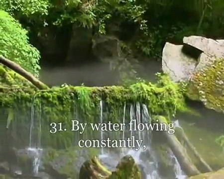 سورة الواقعة الشيخ محمد اللحيدان Surat Al-Waqi'ah ‎.mp4