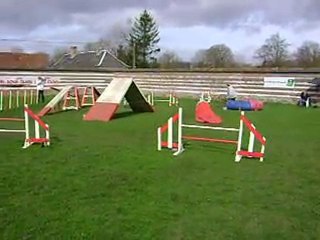 Concours D'agility Domvast