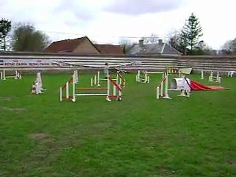Concours d'agility domvast