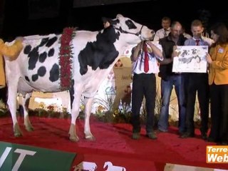 En direct d'Eurogénétique - Retour sur 3 jours de concours,