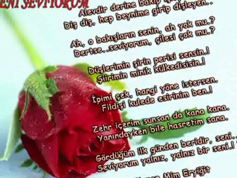 cengiz kurtoğlu ben onu seviyorum