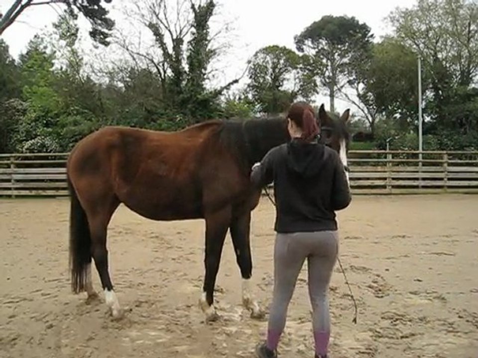 demis tours autour hanches, épaules