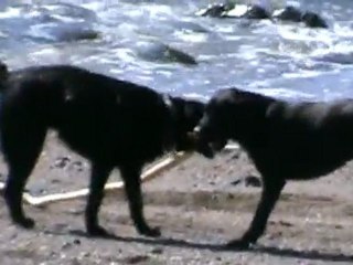 la vidéo de la minute trente...