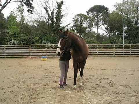 flexions un peu foireuses