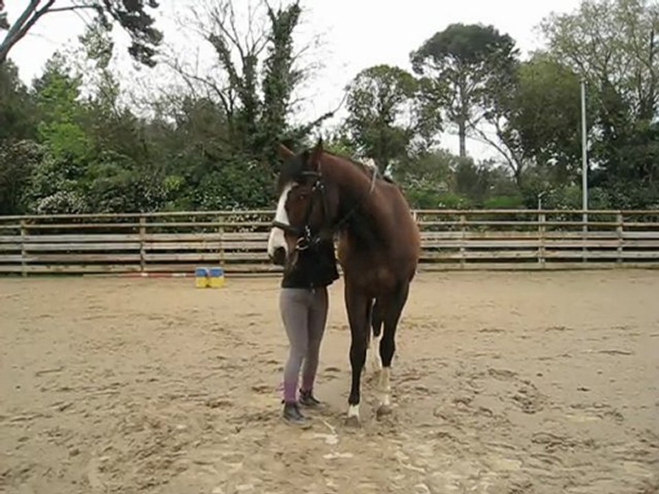 flexions un peu foireuses