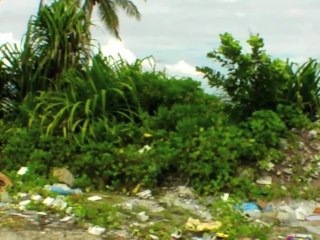 Le problème de la gestion des déchets domestiques