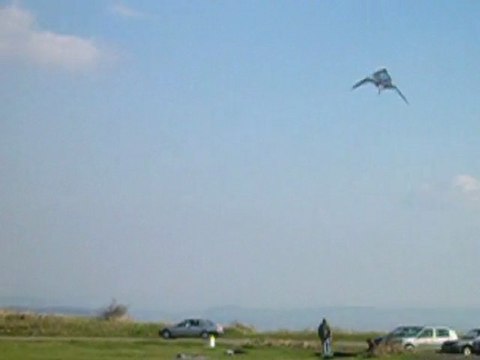 Cerf-volant à Gergovie avril 2010