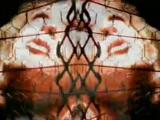 Lady Shelly Get It On