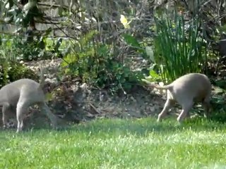 film bebe 10 avril 2010 018