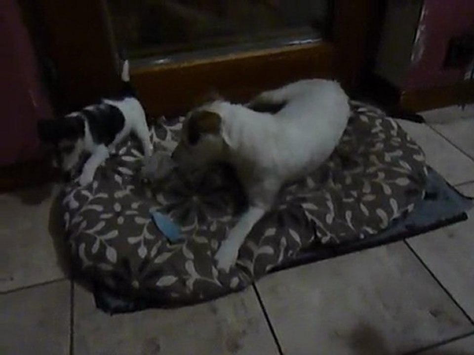 Les p'tits mecs à l'attaque sur marraine Caly