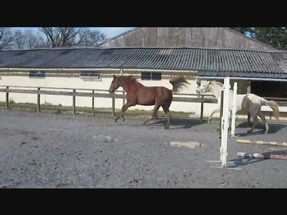 monté défoulage longe saut