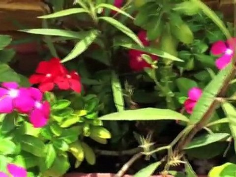 Casa La Fe - Hotel Cartagena de Indias - Colombia