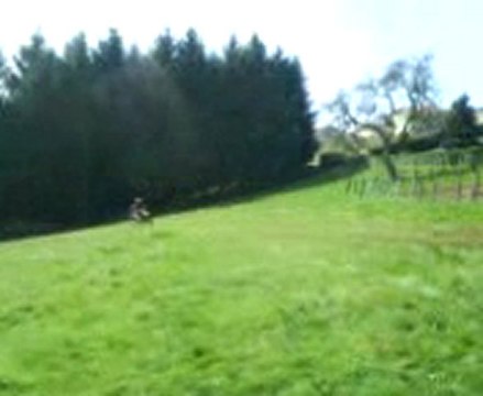 gamelle en ktm 85 sx