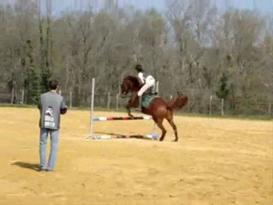 Séance de saut d'obstacles & balade 10.04.10
