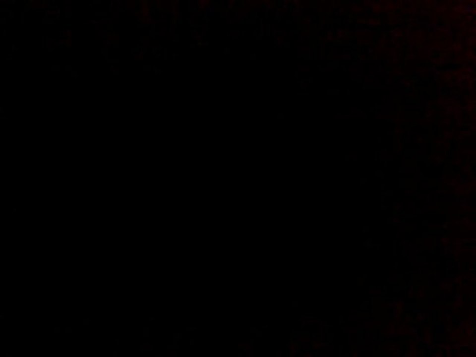 10042010006