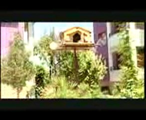 Sürmeli Arğuz`dan Latif Ayyıldız ığdırına dön