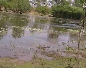 Crocodile fishing in Kakadu