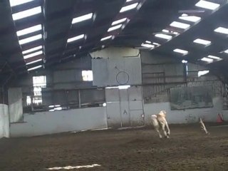 6 éme jour de spirit