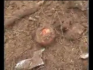 Polish President Lech Kaczynskii crash