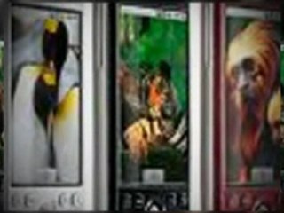 Get Paid To Give Away FREE Cell Phone Service