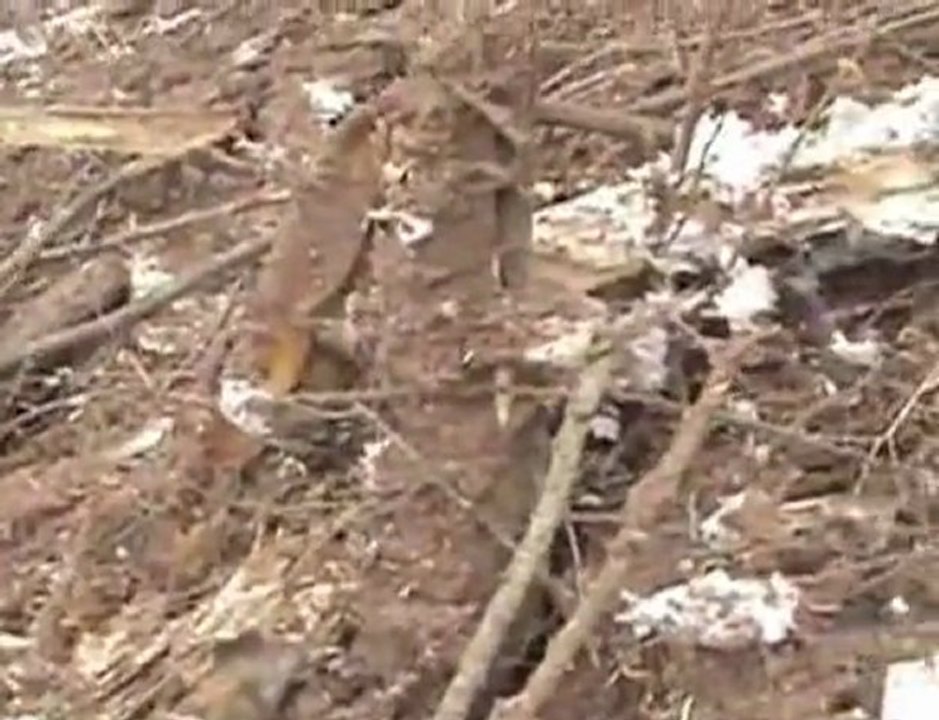 Miejsce katastrofy w Smoleńsku