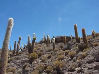 Bolivie - Salar d'Uyuni (4)