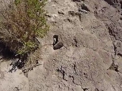 Bolivie - Salar d'Uyuni (5)