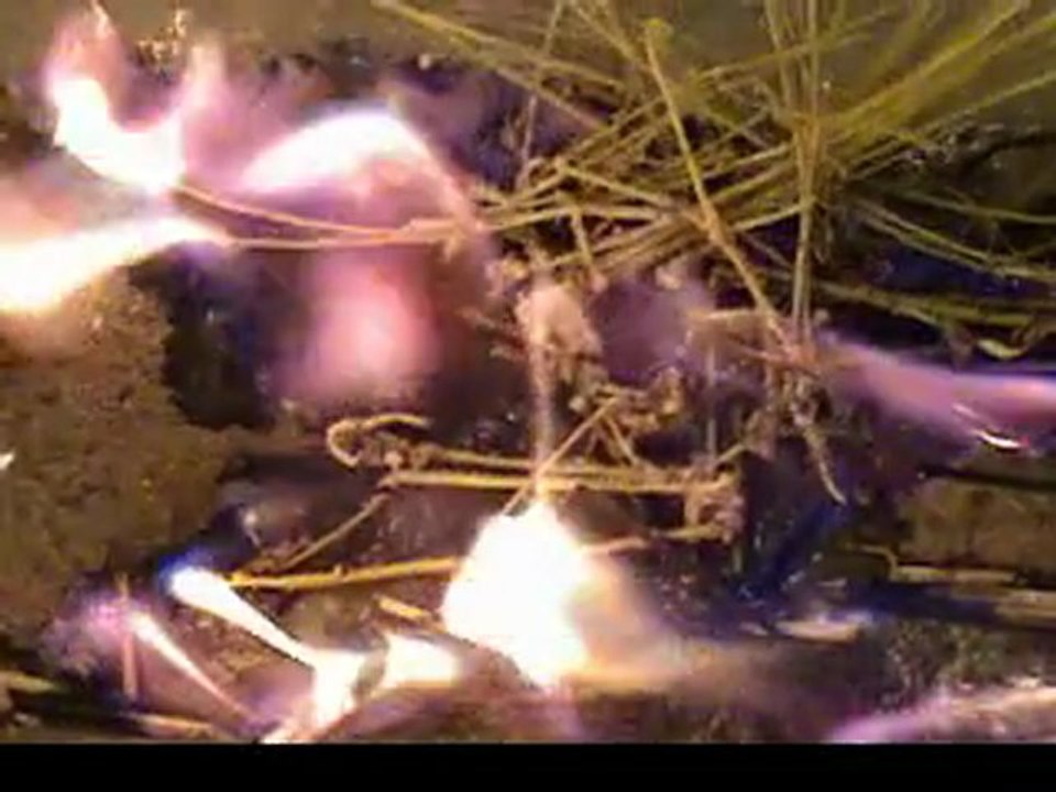 Mitt “Flip Flop” Romney wins GOP straw poll as TaxTeaParty R