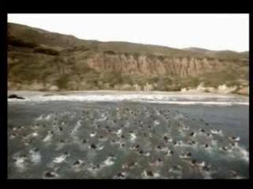 Axe_PlusTenMets_LaPlage