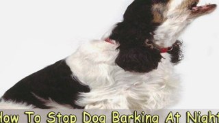Dog Barking at Night-Learn How to Stop Dog Barking at Night