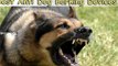 Anti Dog Barking Devices-Best Anti Dog Barking Devices