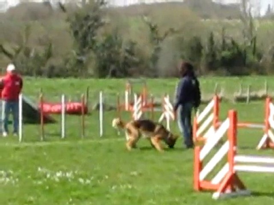 Agility 1, Deuxième parcours