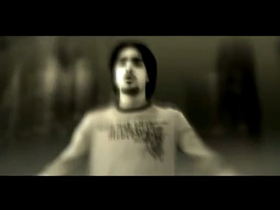 Dorians - Fly