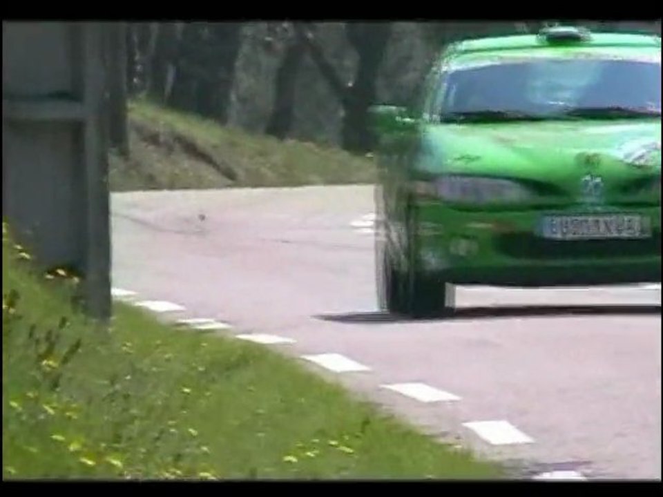 rallye de venasque 2010