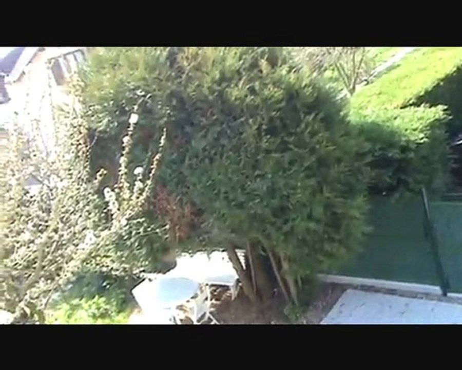 Voilà le printemps