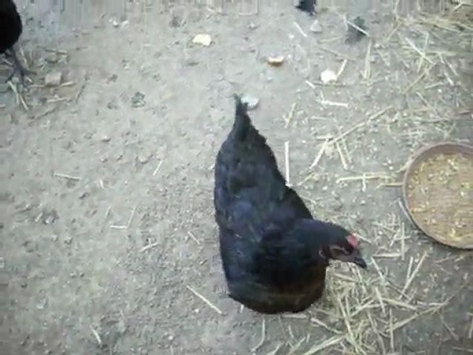 éducation marrante: A.G.E.C. !