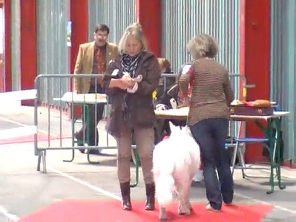 Eager chez madame le juge