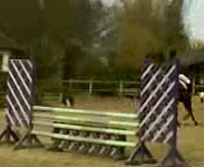 Une jument capricieuse