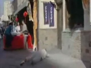 Dolph Lundgren: Master of Martial Arts & Action Films 🥋