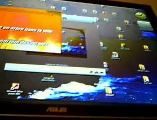 comme un arbre dans la ville maxime leforestier